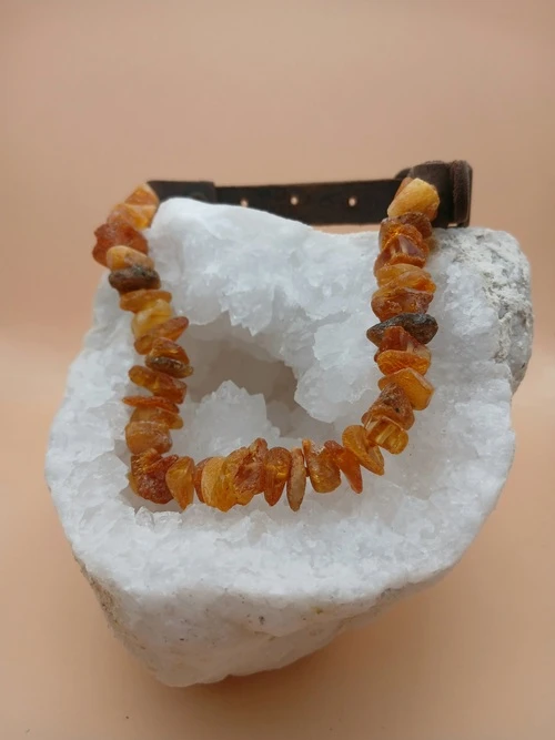 Collier pour chien en Ambre naturel – 30/35 cm