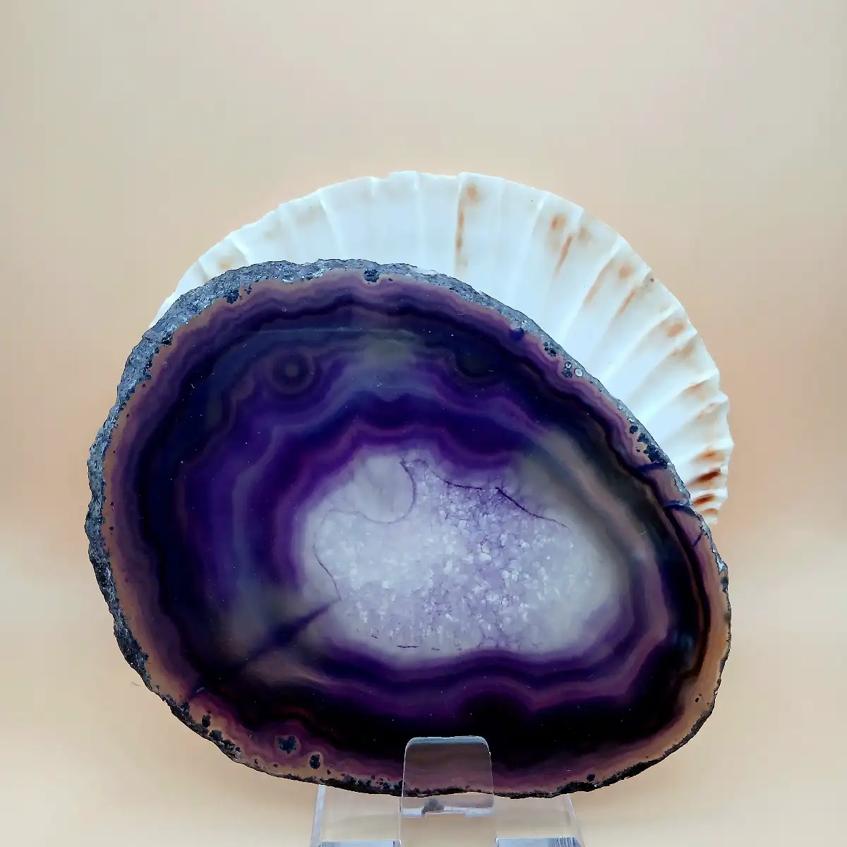 Tranche d’Agate Violette  Énergie & Élégance