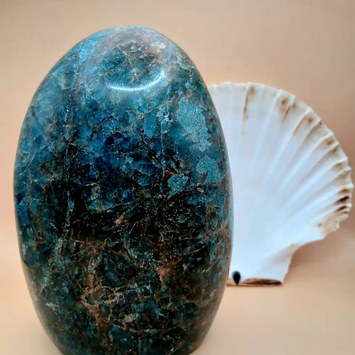 Apatite Bleue – Forme Libre