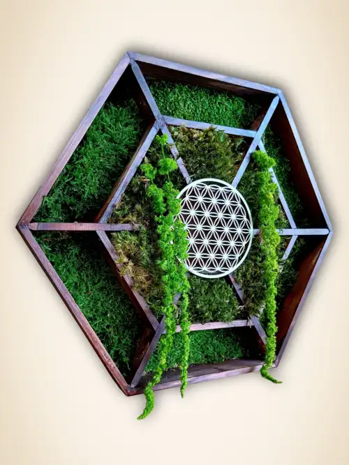 Mandala Végétal avec Fleur de Vie