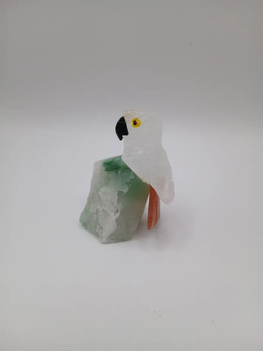 ? Perruche en Cristal de Roche & Cornaline – Clarté & vitalité