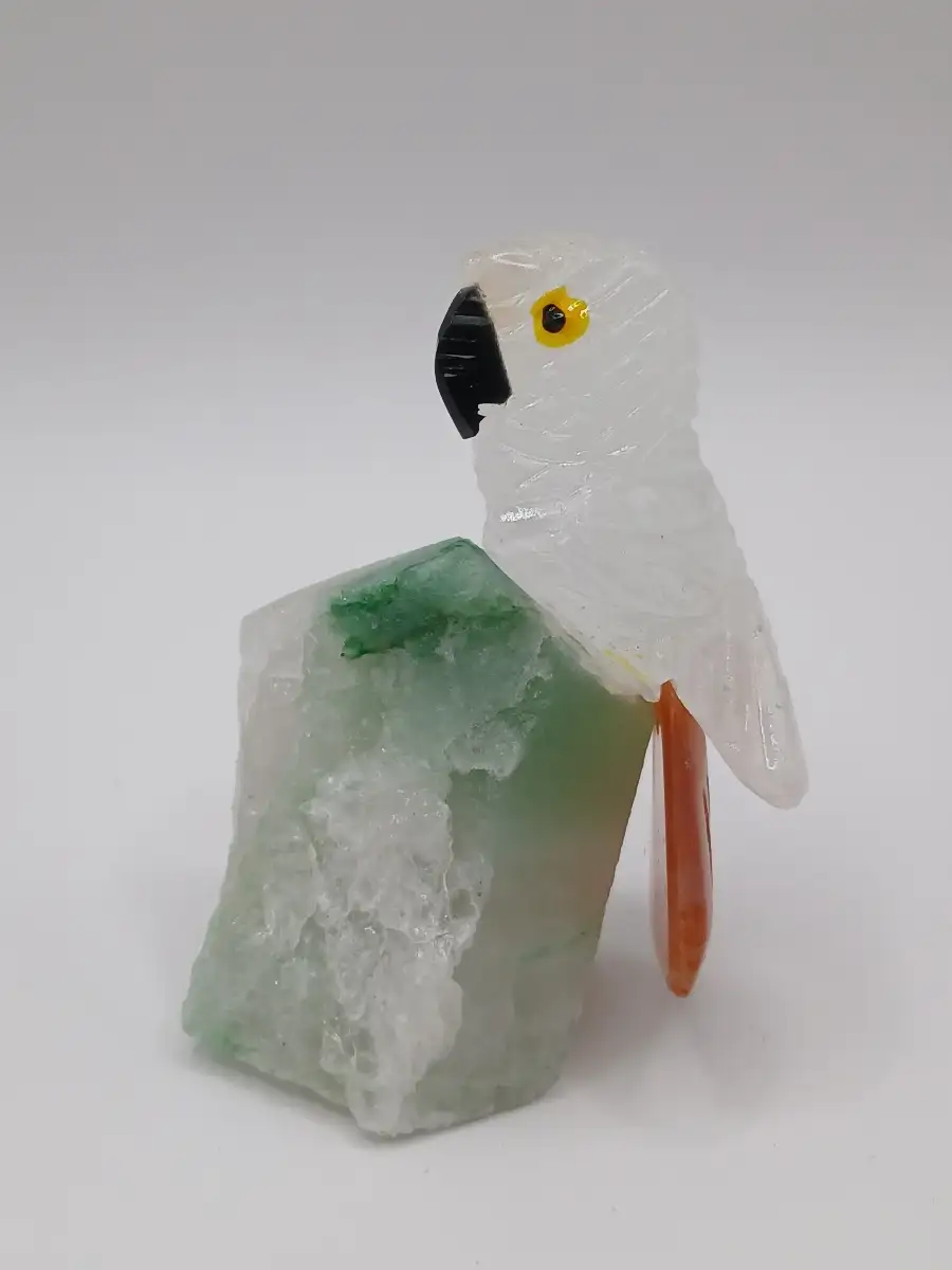 ? Perruche en Cristal de Roche & Cornaline – Clarté & vitalité