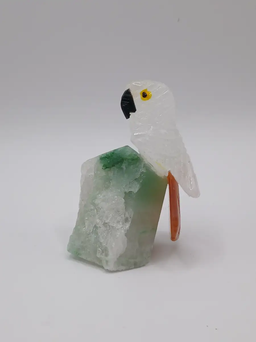 ? Perruche en Cristal de Roche & Cornaline – Clarté & vitalité