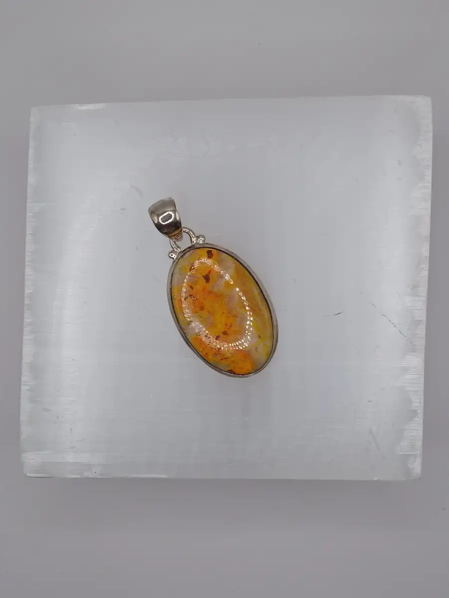 ✨ Pendentif Jaspe Bumblebee – Argent 925  Énergie solaire & joie de vivre